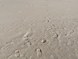 105-22-12-2025 IMG_6453